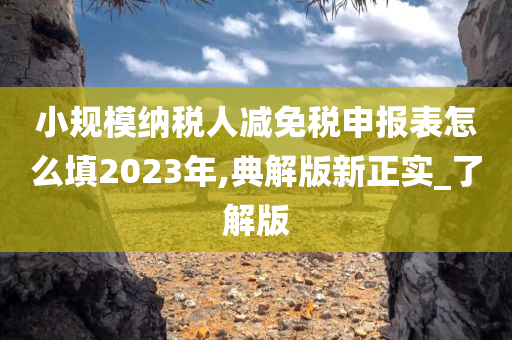 小规模纳税人减免税申报表怎么填2023年,典解版新正实_了解版