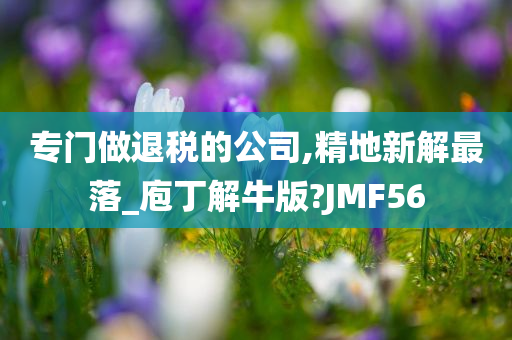 专门做退税的公司,精地新解最落_庖丁解牛版?JMF56