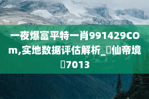 一夜爆富平特一肖991429COm,实地数据评估解析_‌仙帝境‌7013