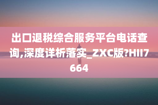 出口退税综合服务平台电话查询,深度详析落实_ZXC版?HII7664