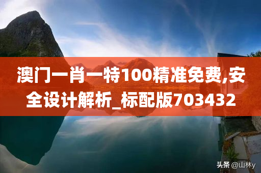 澳门一肖一特100精准免费,安全设计解析_标配版703432