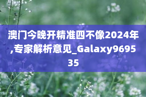 澳门今晚开精准四不像2024年,专家解析意见_Galaxy969535