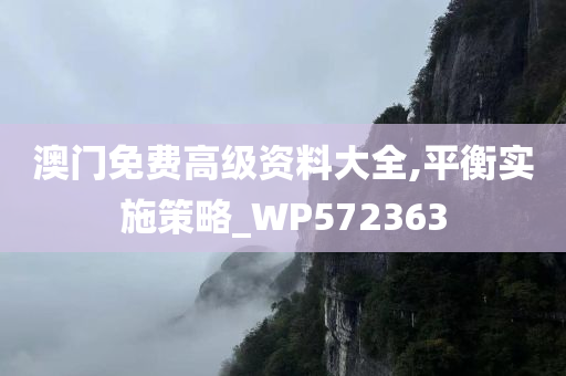 澳门免费高级资料大全,平衡实施策略_WP572363