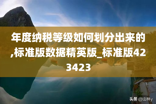 年度纳税等级如何划分出来的,标准版数据精英版_标准版423423