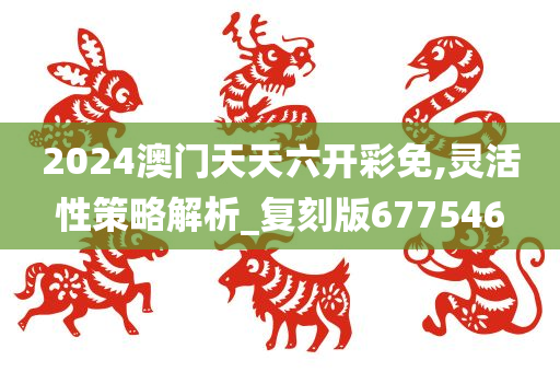 2024澳门天天六开彩免,灵活性策略解析_复刻版677546