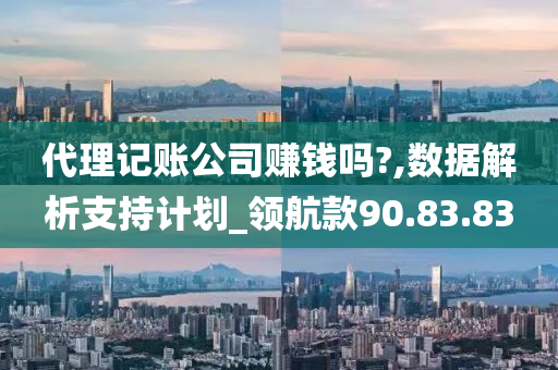 代理记账公司赚钱吗?,数据解析支持计划_领航款90.83.83