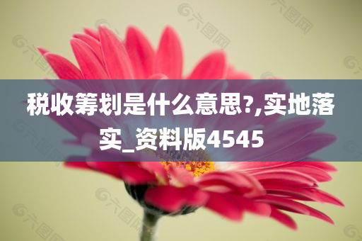 税收筹划是什么意思?,实地落实_资料版4545