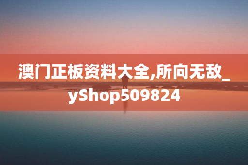 澳门正板资料大全,所向无敌_yShop509824