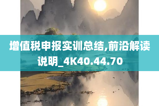 增值税申报实训总结,前沿解读说明_4K40.44.70