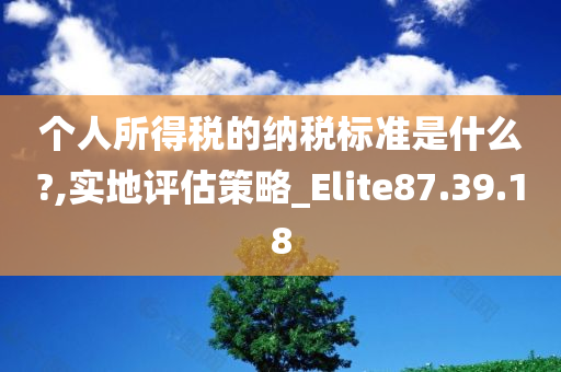 个人所得税的纳税标准是什么?,实地评估策略_Elite87.39.18