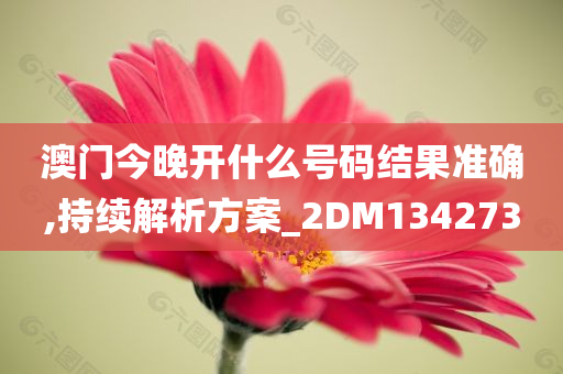 澳门今晚开什么号码结果准确,持续解析方案_2DM134273