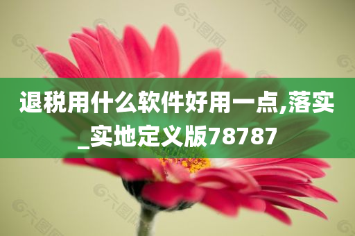 退税用什么软件好用一点,落实_实地定义版78787