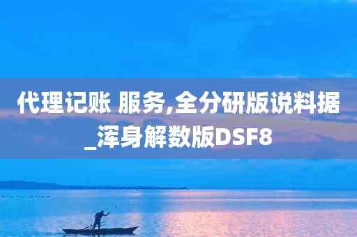 代理记账 服务,全分研版说料据_浑身解数版DSF8