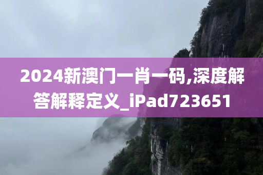 2024新澳门一肖一码,深度解答解释定义_iPad723651