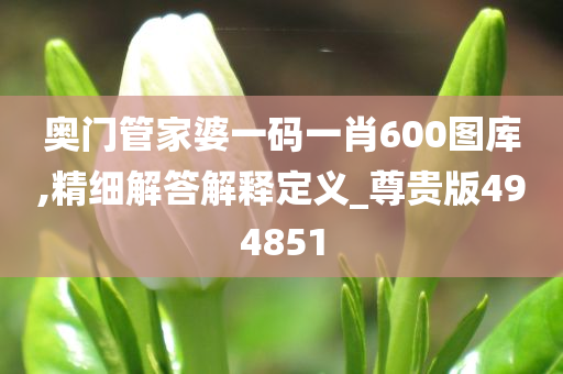 奥门管家婆一码一肖600图库,精细解答解释定义_尊贵版494851