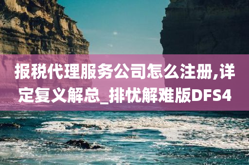 报税代理服务公司怎么注册,详定复义解总_排忧解难版DFS4