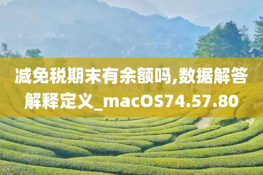 减免税期末有余额吗,数据解答解释定义_macOS74.57.80