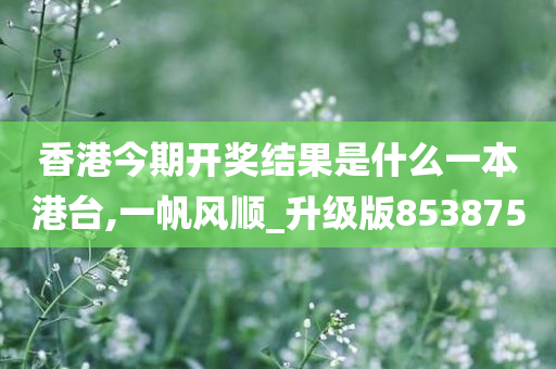 香港今期开奖结果是什么一本港台,一帆风顺_升级版853875