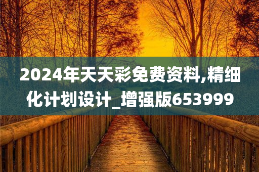 2024年天天彩免费资料,精细化计划设计_增强版653999