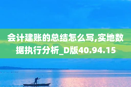 会计建账的总结怎么写,实地数据执行分析_D版40.94.15