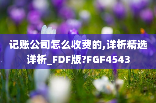 记账公司怎么收费的,详析精选详析_FDF版?FGF4543