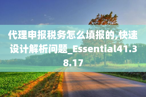 代理申报税务怎么填报的,快速设计解析问题_Essential41.38.17