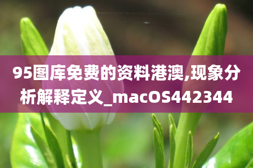 95图库免费的资料港澳,现象分析解释定义_macOS442344