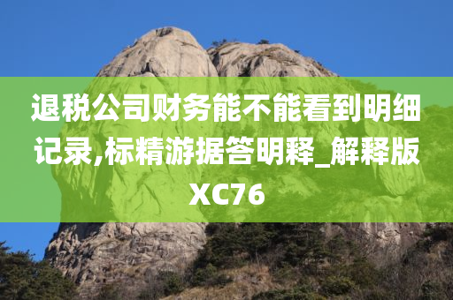 退税公司财务能不能看到明细记录,标精游据答明释_解释版XC76