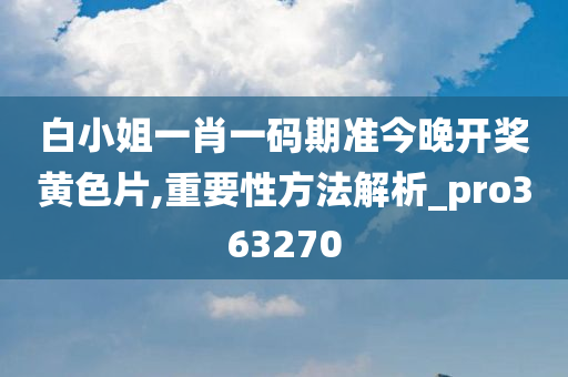 白小姐一肖一码期准今晚开奖黄色片,重要性方法解析_pro363270