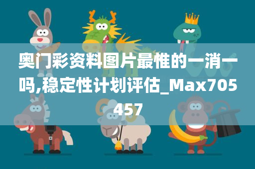 奥门彩资料图片最惟的一消一吗,稳定性计划评估_Max705457