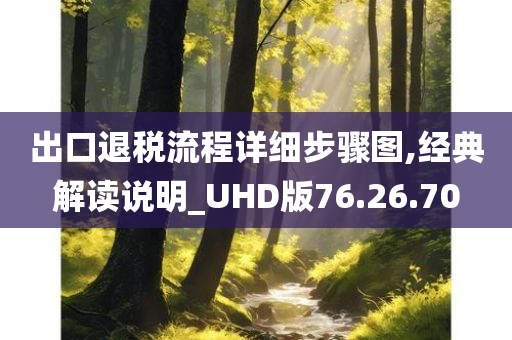 出口退税流程详细步骤图,经典解读说明_UHD版76.26.70