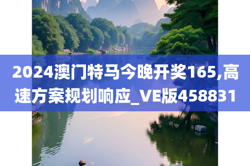 2024澳门特马今晚开奖165,高速方案规划响应_VE版458831