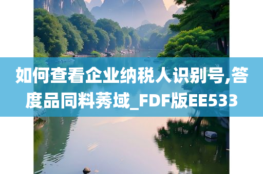 如何查看企业纳税人识别号,答度品同料莠域_FDF版EE533