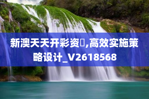 新澳天天开彩资枓,高效实施策略设计_V2618568