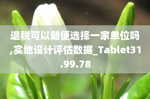 退税可以随便选择一家单位吗,实地设计评估数据_Tablet31.99.78