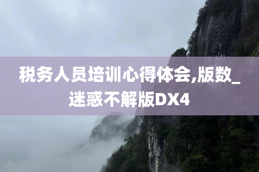 税务人员培训心得体会,版数_迷惑不解版DX4