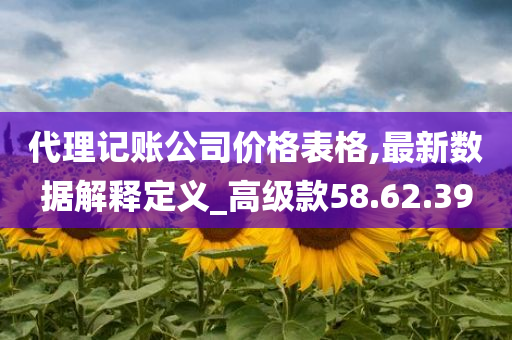 代理记账公司价格表格,最新数据解释定义_高级款58.62.39