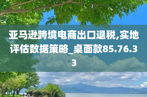 亚马逊跨境电商出口退税,实地评估数据策略_桌面款85.76.33