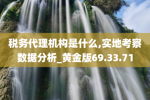 税务代理机构是什么,实地考察数据分析_黄金版69.33.71