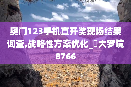 奥门123手机直开奖现场结果询查,战略性方案优化_‌大罗境8766