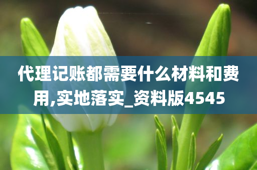 代理记账都需要什么材料和费用,实地落实_资料版4545