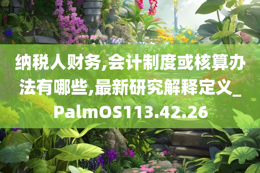 纳税人财务,会计制度或核算办法有哪些,最新研究解释定义_PalmOS113.42.26