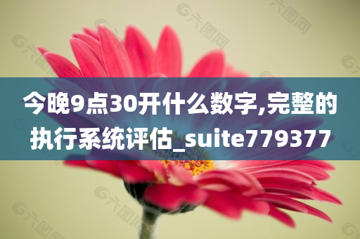 今晚9点30开什么数字,完整的执行系统评估_suite779377