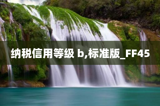 纳税信用等级 b,标准版_FF45