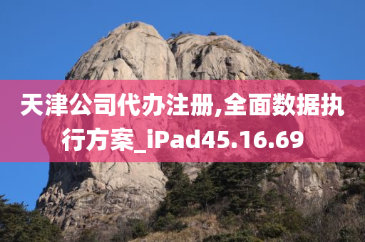 天津公司代办注册,全面数据执行方案_iPad45.16.69