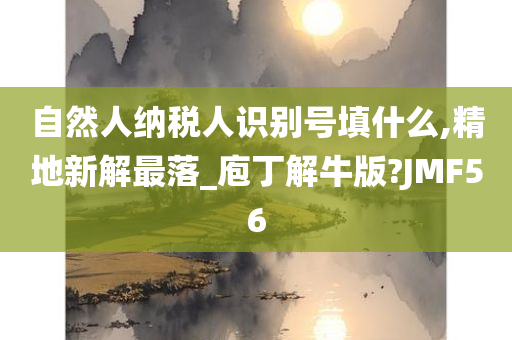 自然人纳税人识别号填什么,精地新解最落_庖丁解牛版?JMF56