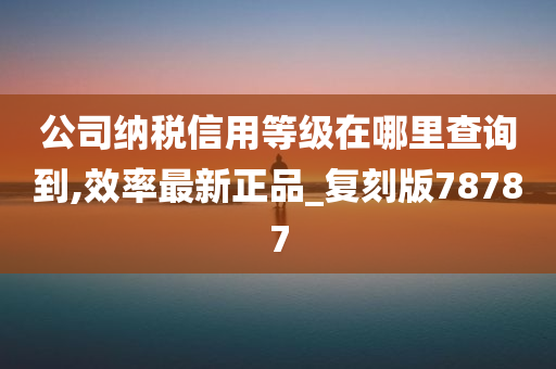 公司纳税信用等级在哪里查询到,效率最新正品_复刻版78787