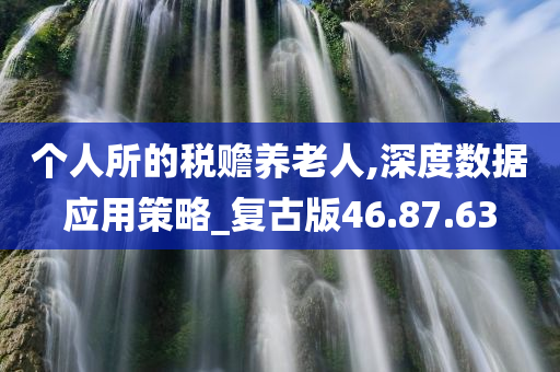 个人所的税赡养老人,深度数据应用策略_复古版46.87.63