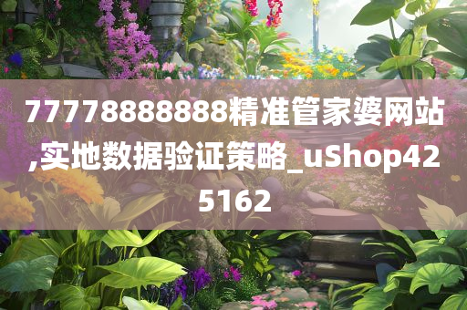 77778888888精准管家婆网站,实地数据验证策略_uShop425162