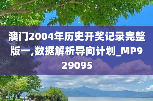 澳门2004年历史开奖记录完整版一,数据解析导向计划_MP929095